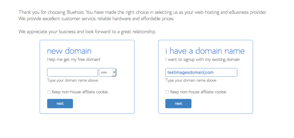 Choose a Domain Screenshot