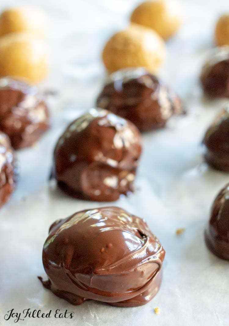 Sugar-Free Chocolate Fat Bombs