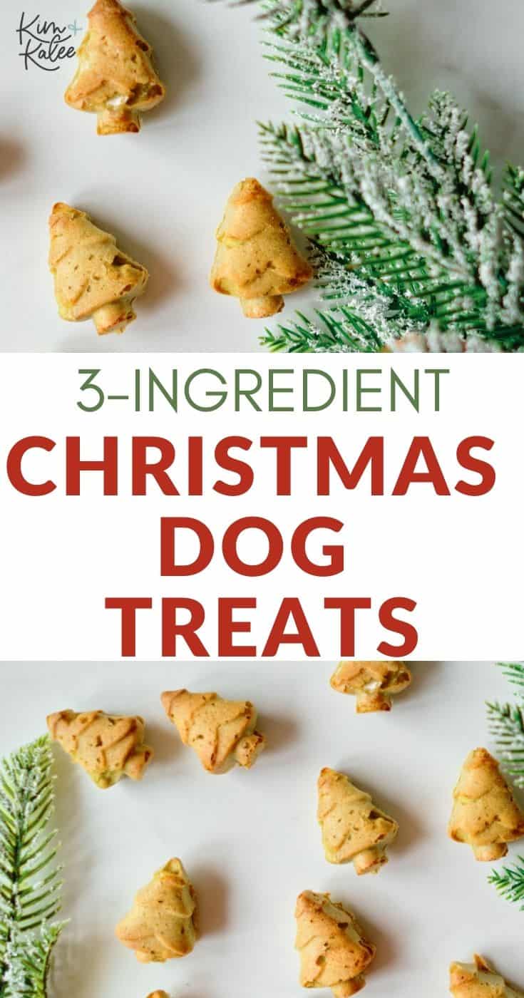 Homemade Dog Christmas Tree Cookies