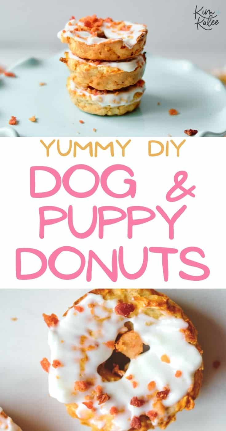 cute and easy dog donuts