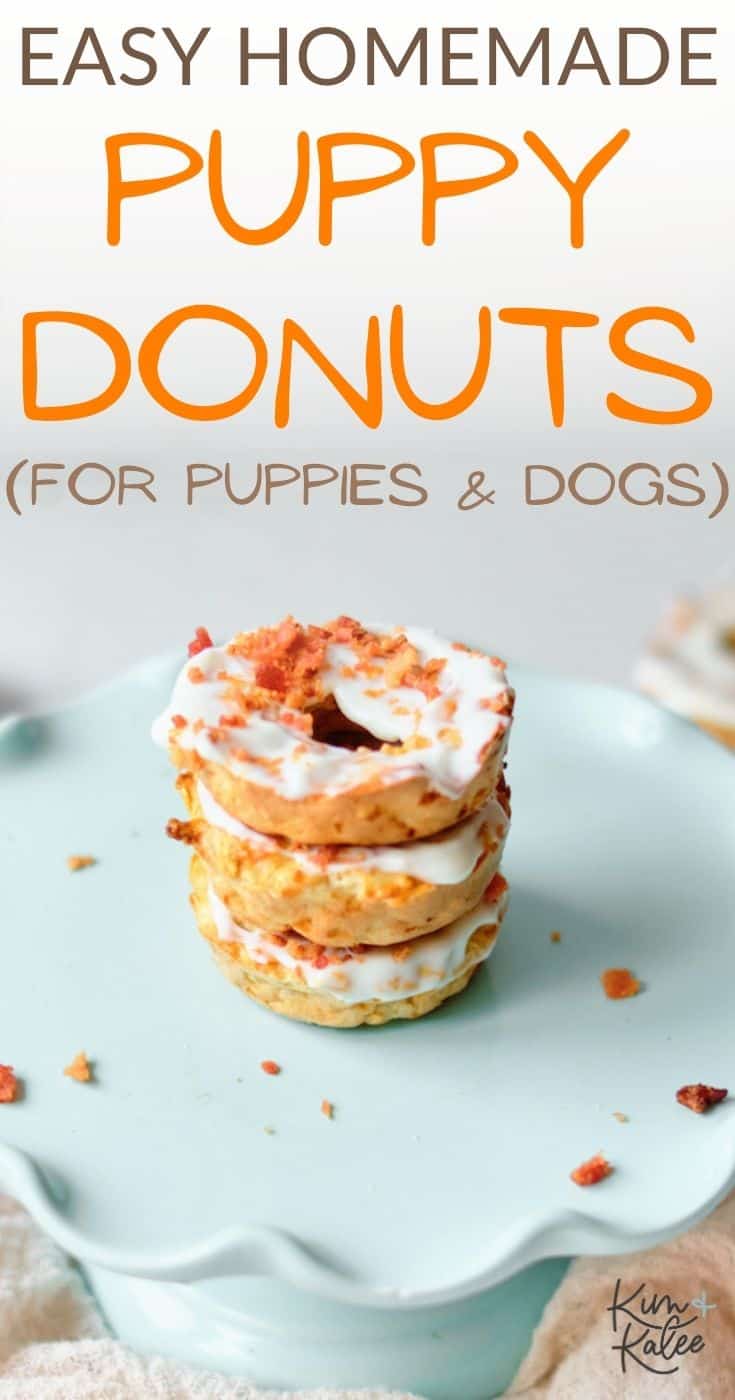 homemade puppy donuts