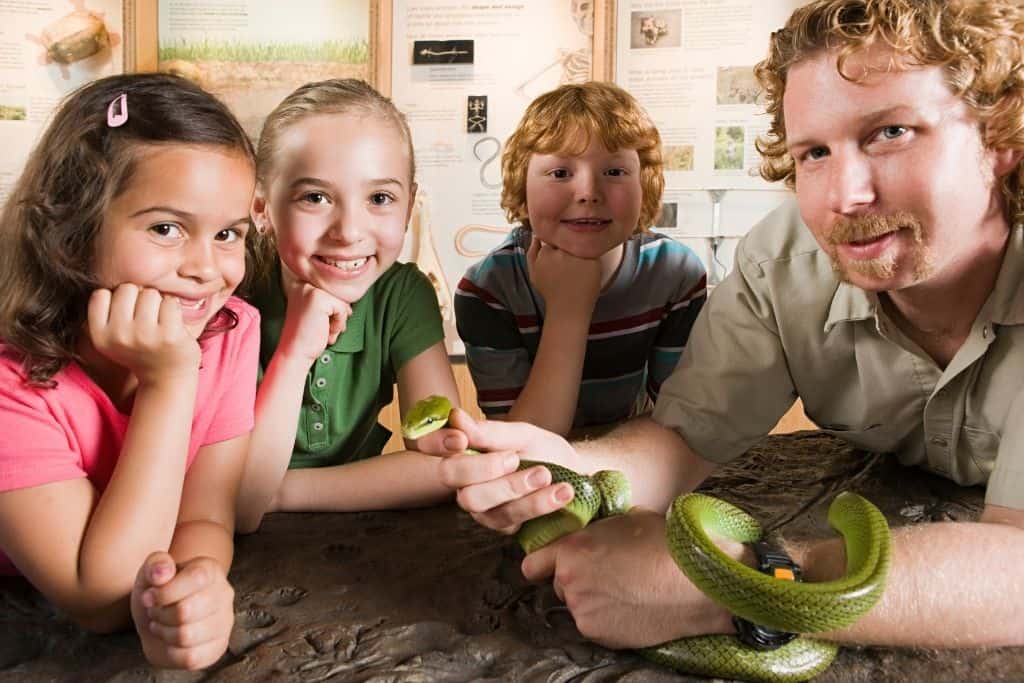 kids at the zoo