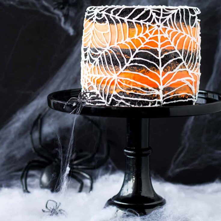 Image for Spiderweb Cake