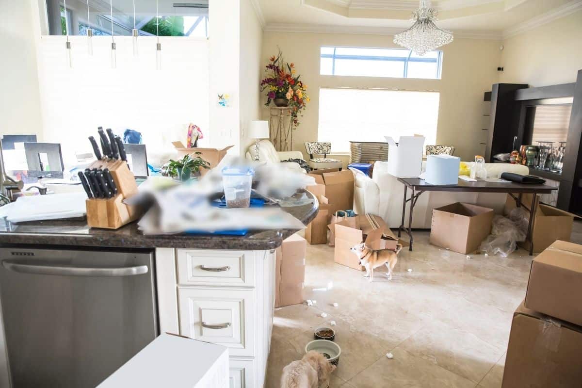 messy kitchen and living room