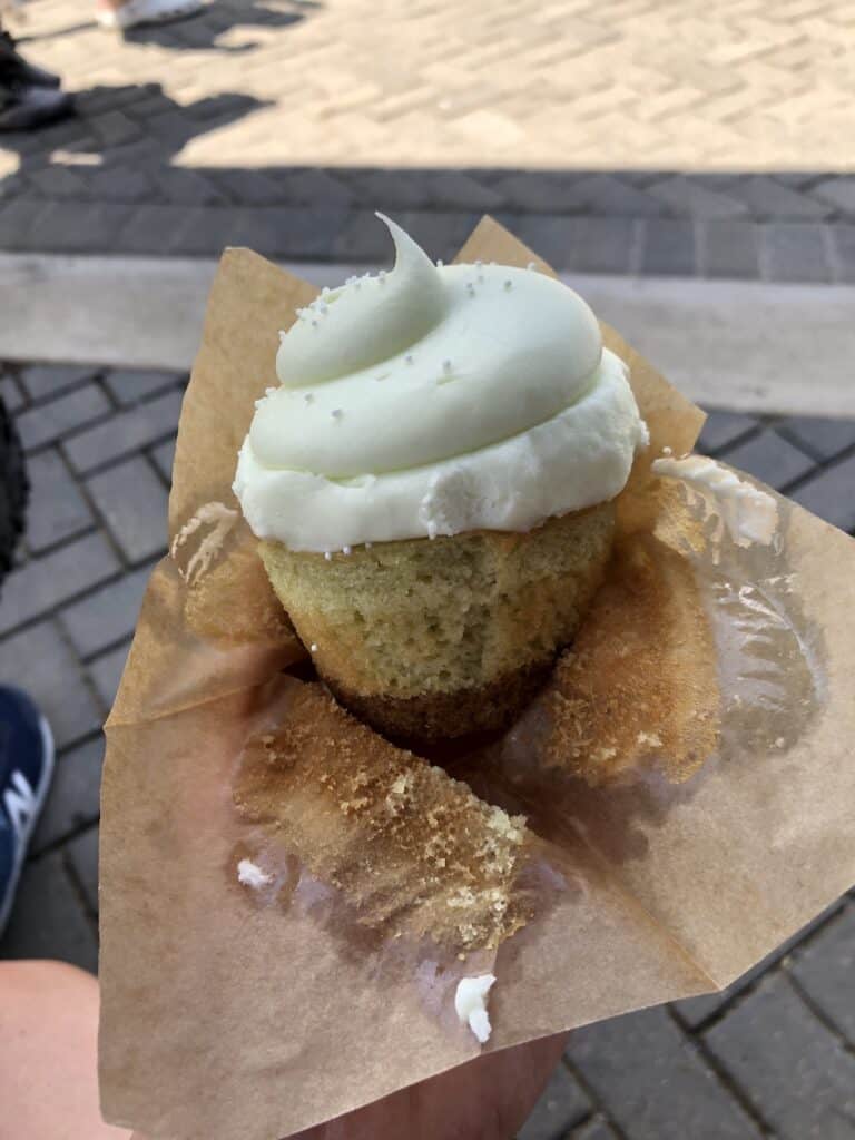 Magnolia Baking Co Cupcake in Waco