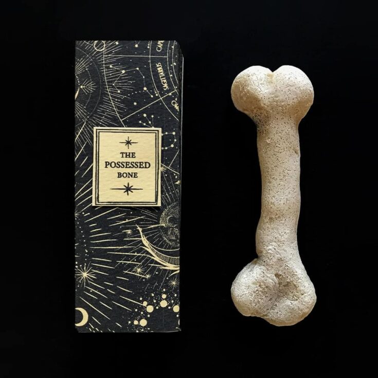 Image for Make: The Possessed Bone