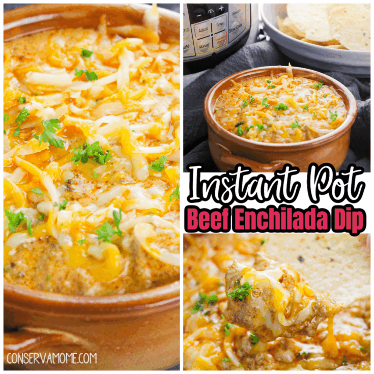 Image for Beef Enchilada Dip