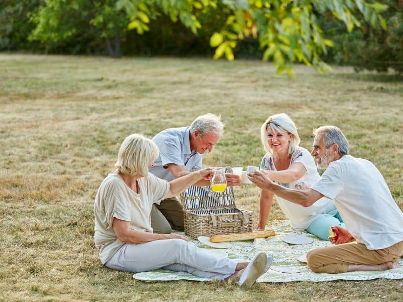 a group of 70 year olds celebrating a birthday in a park with a picnic