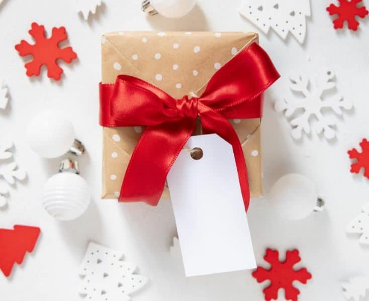 wrapped Christmas gift