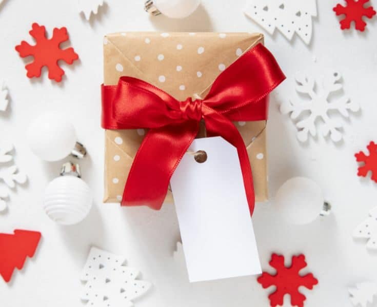 wrapped Christmas gift