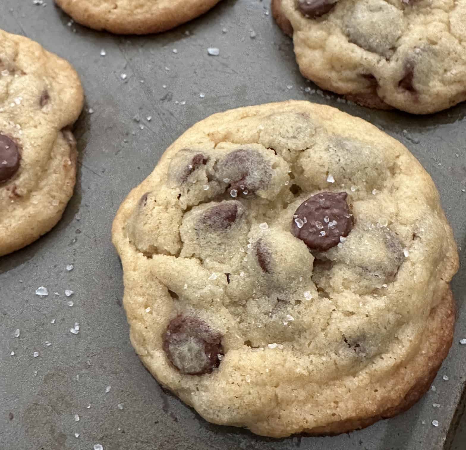 sea salt chocolate chip cookies