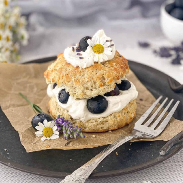 Image for Blueberry Shortcake