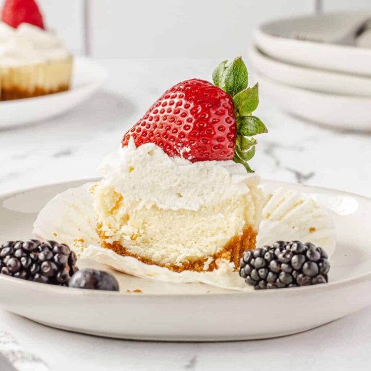 Image for Mini New York Cheesecakes 